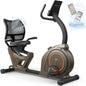 Indoor Recumbent Exercise Bike for Home Gym