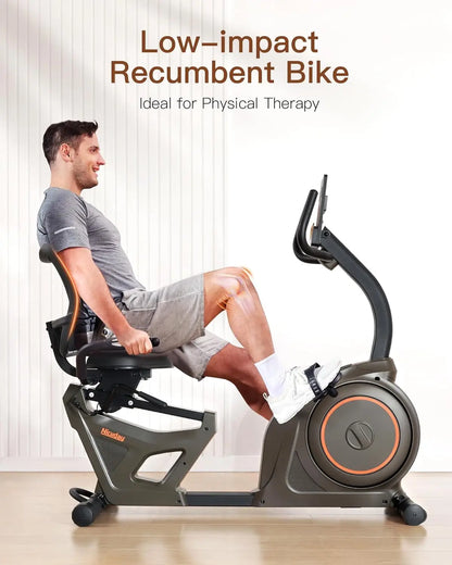 Indoor Recumbent Exercise Bike for Home Gym