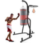 Height-adjustable, boxing training equipment,