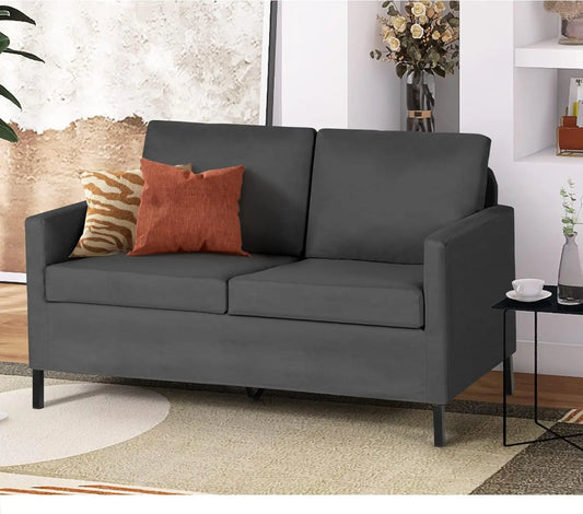 Small Loveseat Sofa Couch