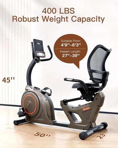 Indoor Recumbent Exercise Bike for Home Gym