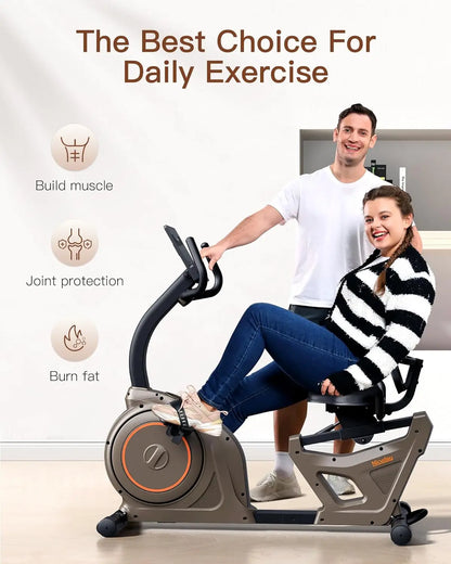 Indoor Recumbent Exercise Bike for Home Gym